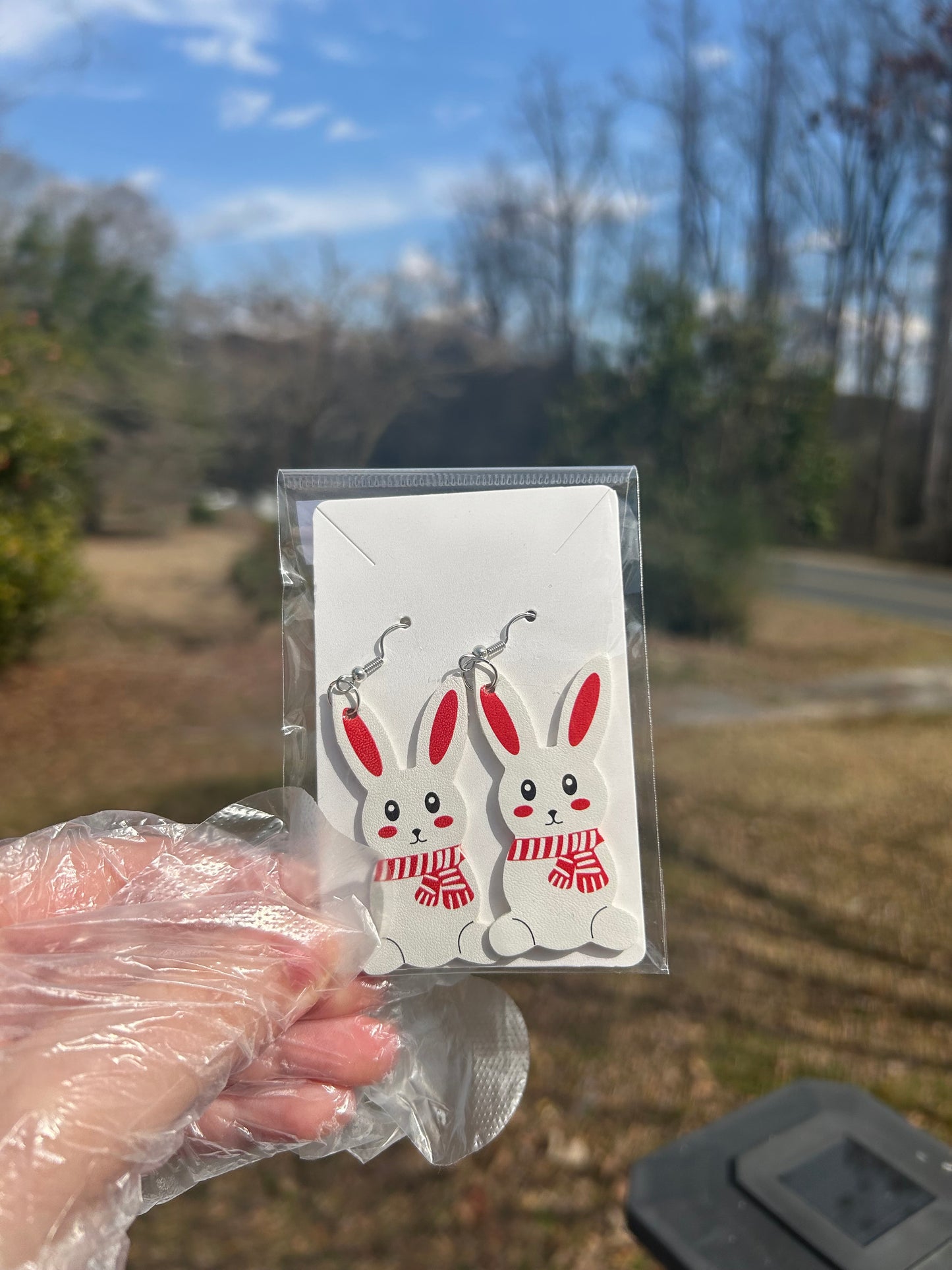 Easter Double Sided Faux Leather Earrings