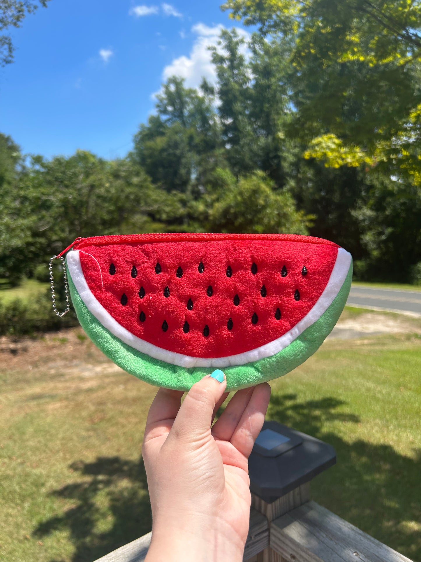 Watermelon Cosmetic Bag