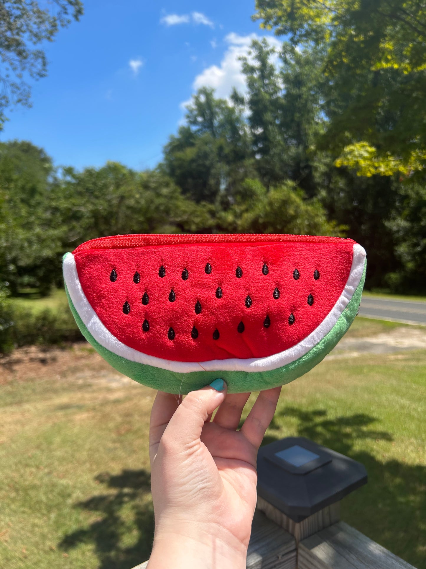 Watermelon Cosmetic Bag