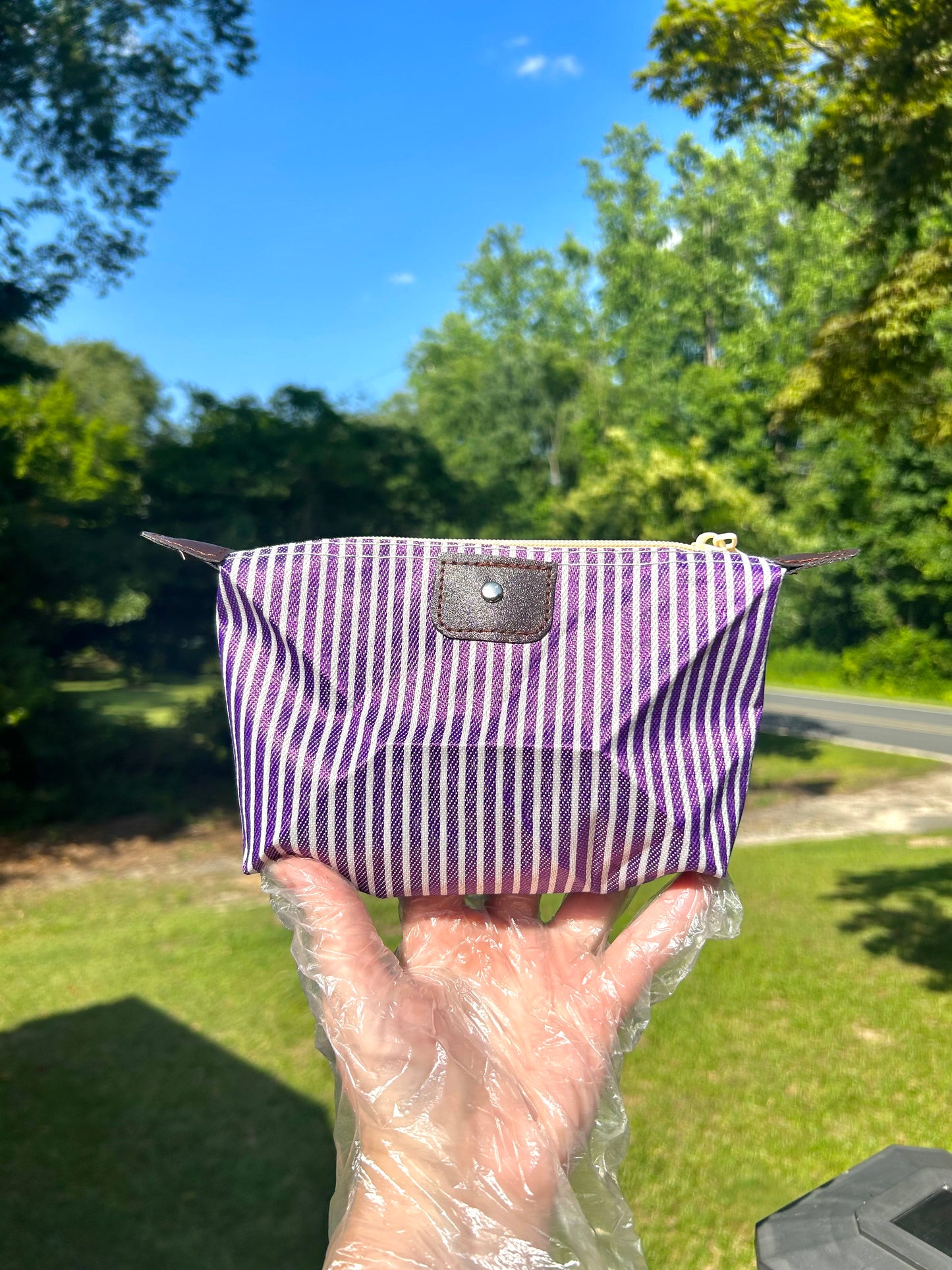 Striped Up Summer Cosmetic Bags