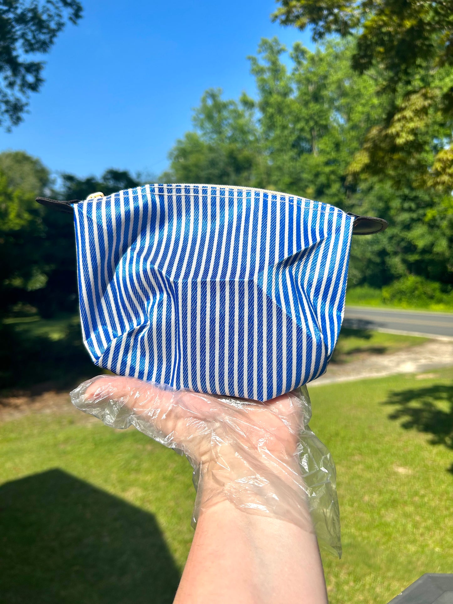 Striped Up Summer Cosmetic Bags