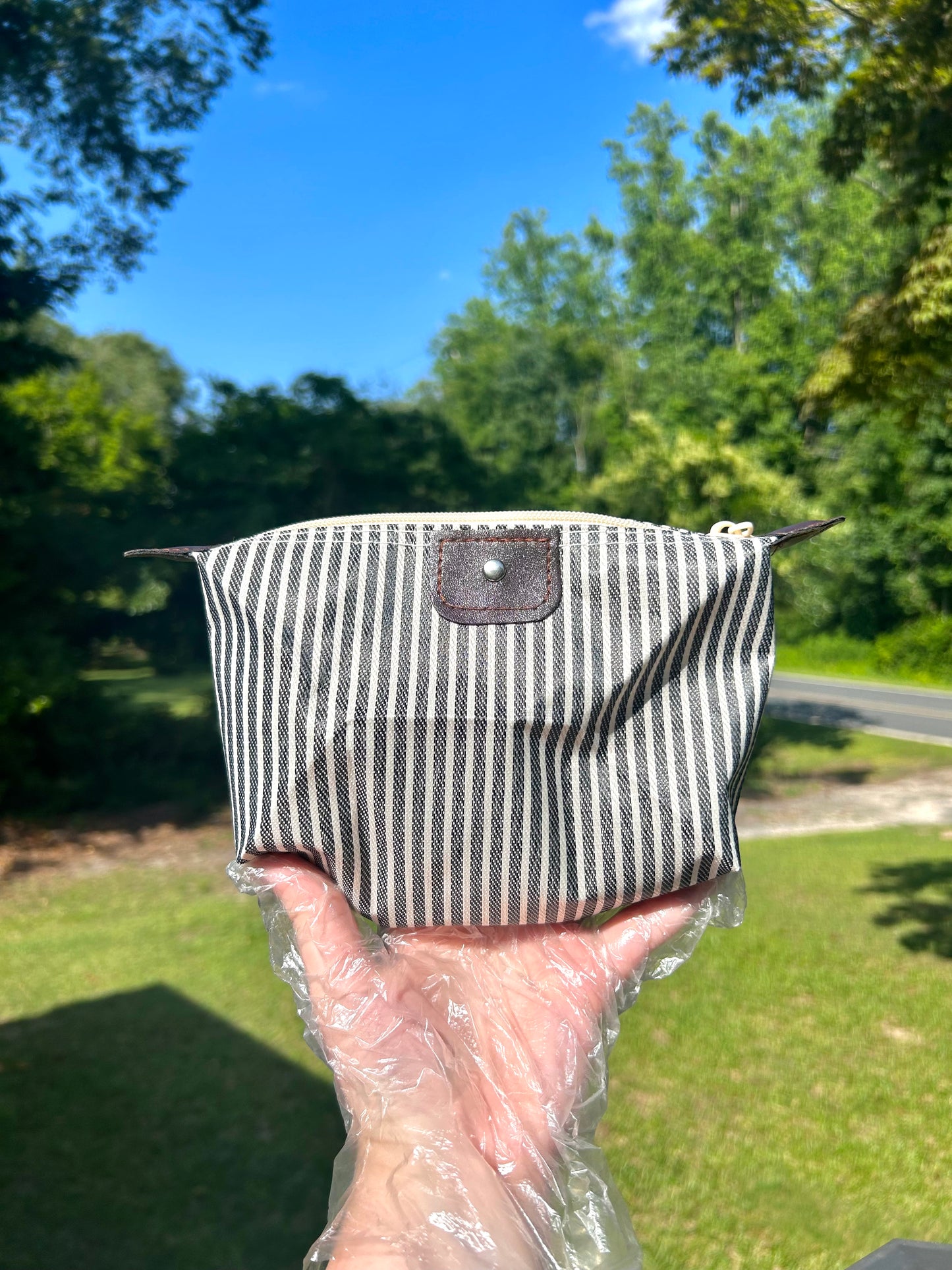 Striped Up Summer Cosmetic Bags