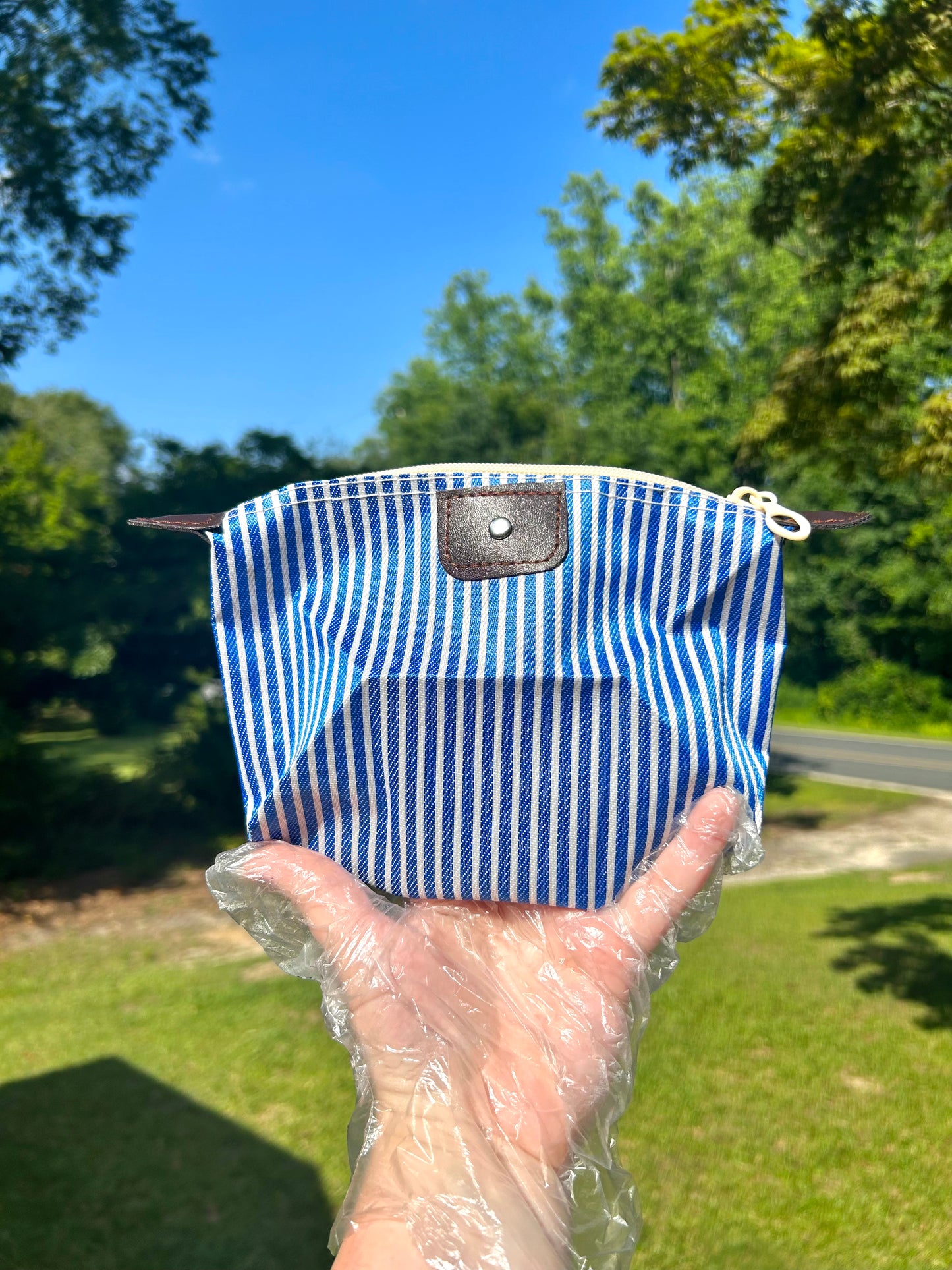 Striped Up Summer Cosmetic Bags